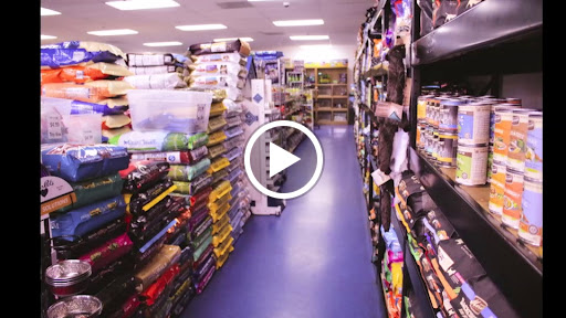 Pet Store «Pet Nation Llc», reviews and photos, 1898 Andorra St, Navarre, FL 32566, USA