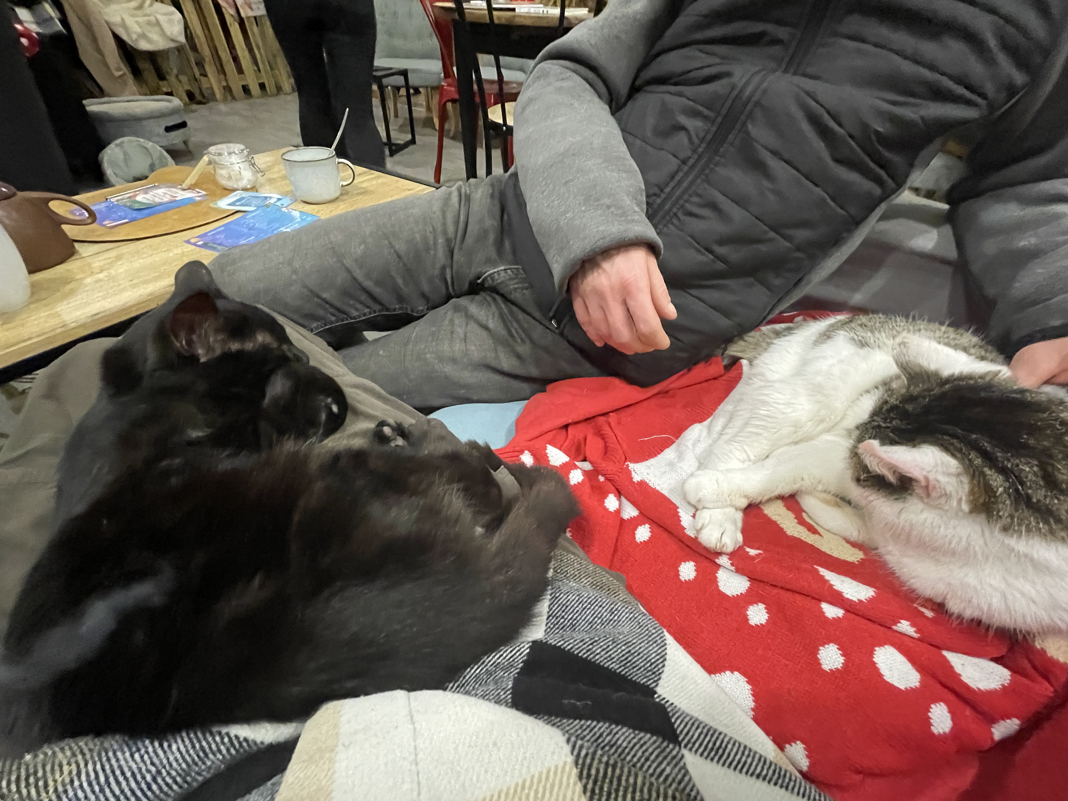 Photo n° 1 de l'avis de Emilie.r fait le 16/12/2023 à 19:50