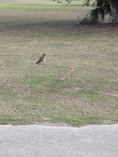 Golf Course «Clewiston Golf Course», reviews and photos, 1201 San Luiz Ave, Clewiston, FL 33440, USA