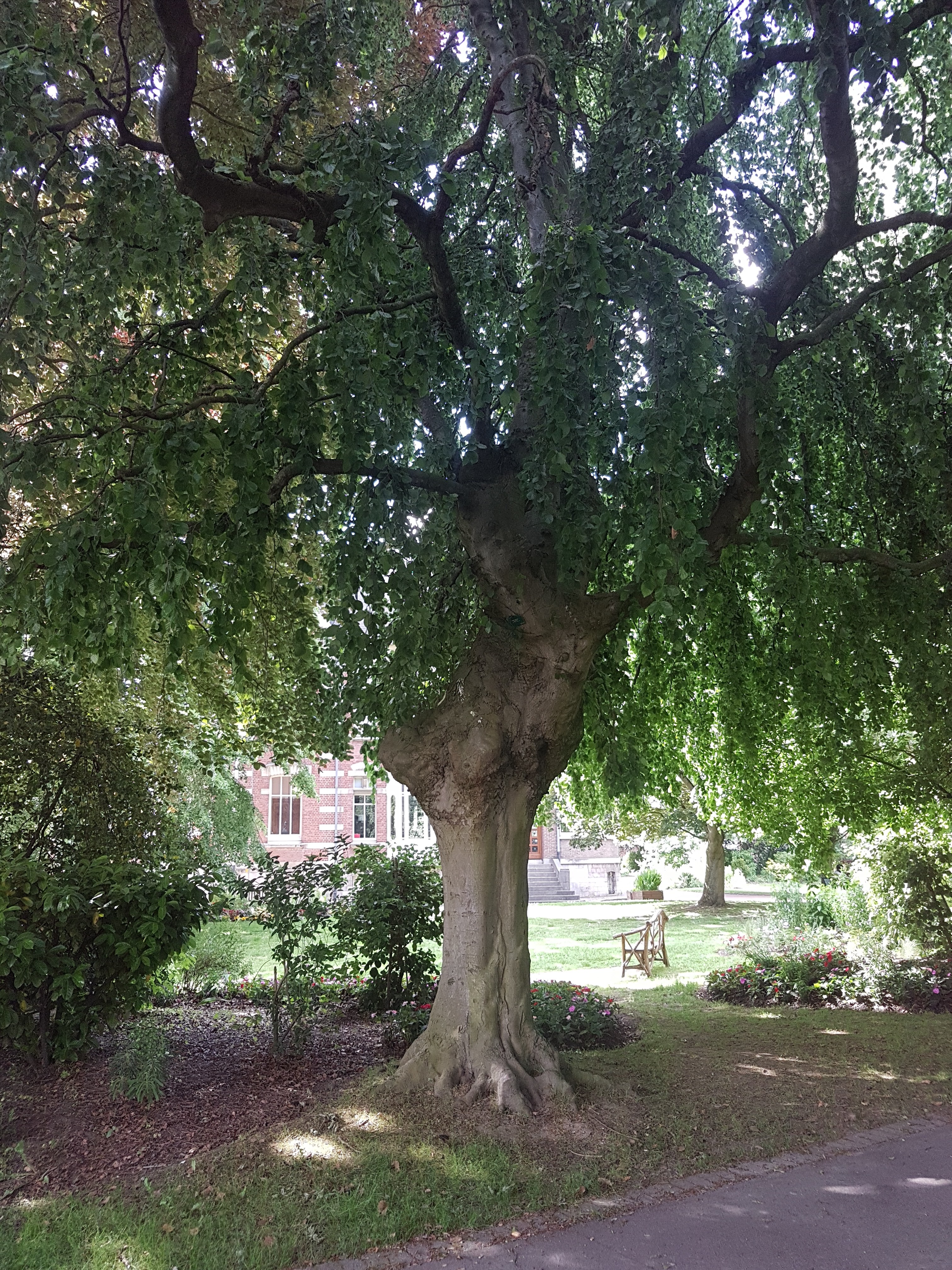 Photo n° 1 de l'avis de Pamela.a fait le 31/05/2019 à 15:16