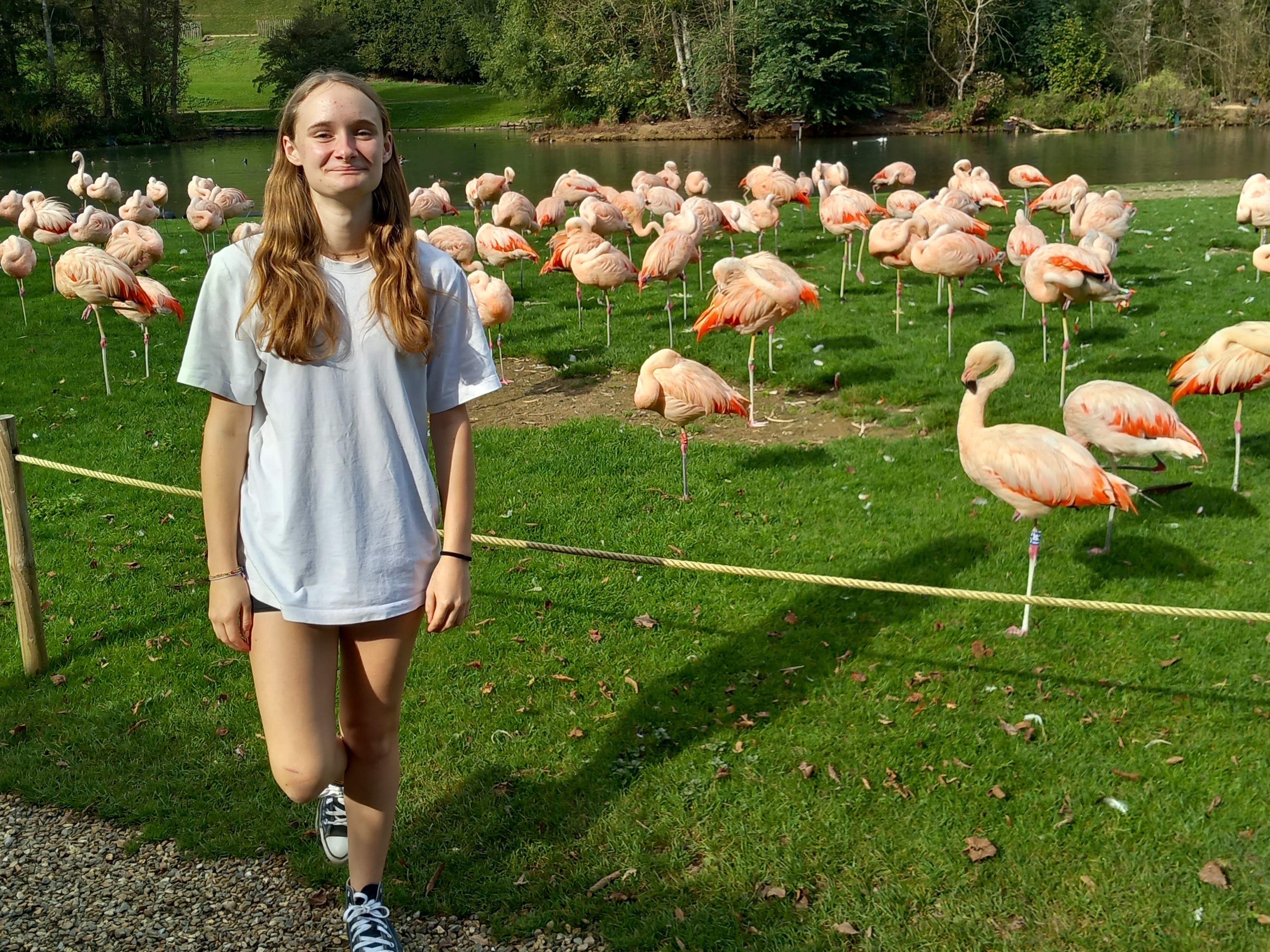 Photo n° 37 de l'avis de Julien.a fait le 11/10/2023 à 18:47