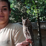 Photo n° 1 de l'avis de Franck.a fait le 17/07/2018 à 19:18 pour Rocher des Aigles à Rocamadour