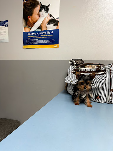 34244 Van Dyke, Sterling Heights, MI 48312, USA