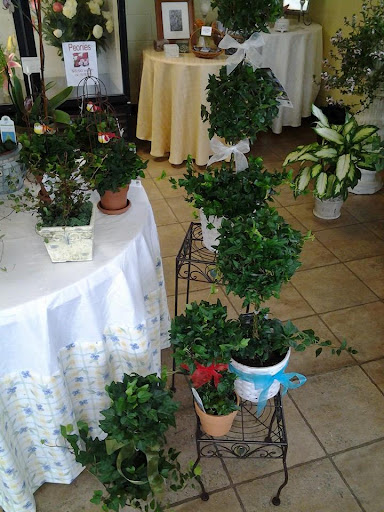 Florist «Forget-Me-Not Florist», reviews and photos, 1083 Park Ave, Cranston, RI 02910, USA