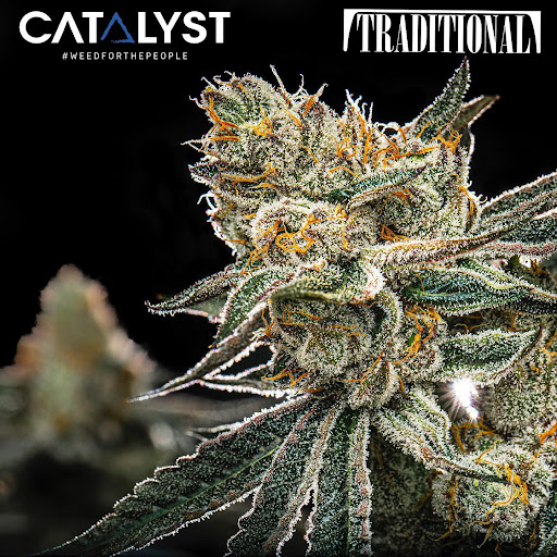 Catalyst Cannabis Costa Mesa image