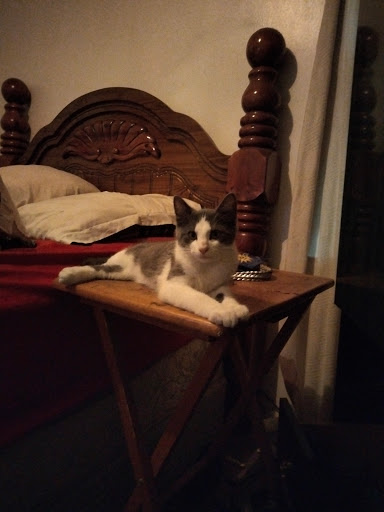 Crosstown Auto, 4213 Lee Rd, Cleveland, OH 44128, USA, 