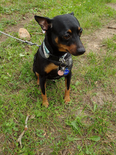 Park «Goodwill Park», reviews and photos, 416 Green St, Holliston, MA 02540, USA