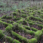 Photo n°6 de l'avis de Dirk.a fait le 18/01/2023 à 11:12 sur le  Schaumburg Castle, Lower Saxony à Rinteln