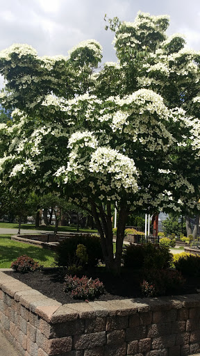 Park «Constitution Park», reviews and photos, Fletcher Ave & Lewis St, Fort Lee, NJ 07024, USA