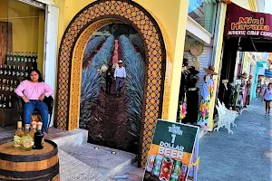 Mi México Lindo Tequila Tour "Centro" image