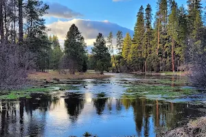Head Of The Metolius Observation Site image