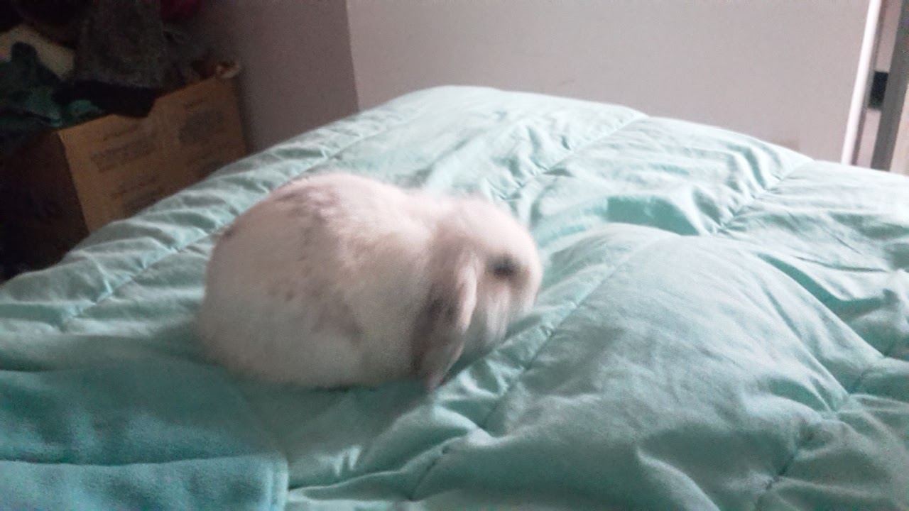 Photo n° 26 de l'avis de Isa.a fait le 01/07/2018 à 22:34