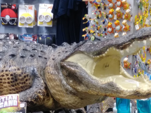 Gift Shop «Jungle Falls Gift Shop», reviews and photos, 5265 W Irlo Bronson Memorial Hwy, Kissimmee, FL 34746, USA