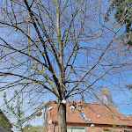 Photo n°6 de l'avis de Zu.u fait le 29/04/2023 à 01:11 sur le  Schloss Ribbeck à Nauen