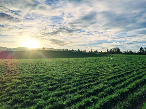 Golf Course «Chehalem Glenn Golf Course», reviews and photos, 4501 E Fernwood Rd, Newberg, OR 97132, USA