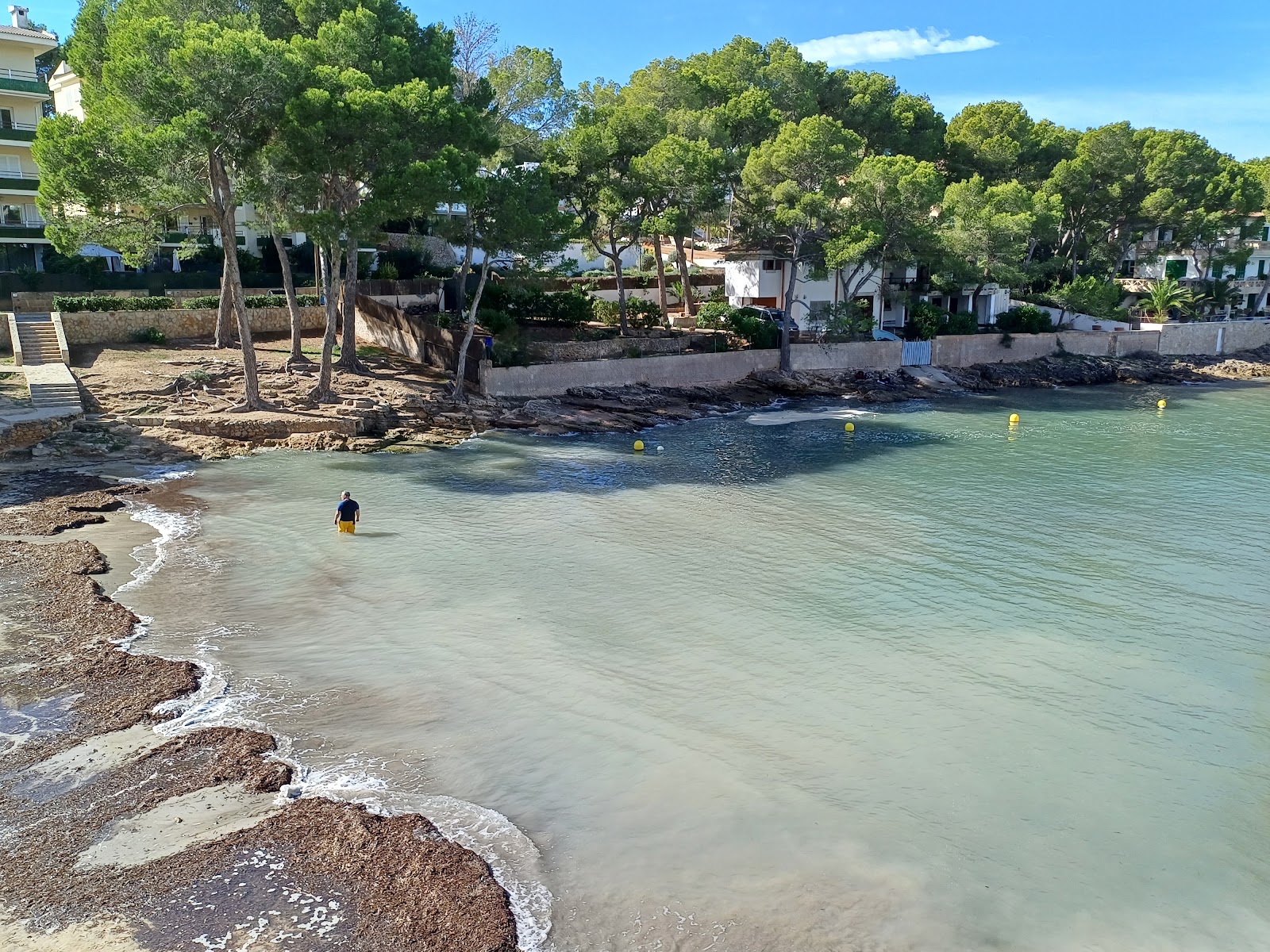 Calo d'en Pellicer photo #8