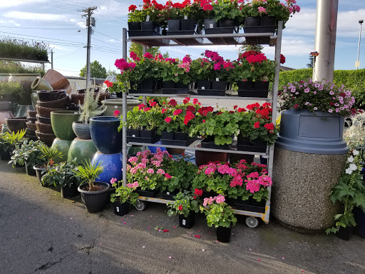 Produce Market «Tacoma Boys», reviews and photos, 5602 6th Ave, Tacoma, WA 98406, USA