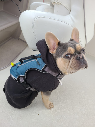 Pet Supply Store «Petco Animal Supplies», reviews and photos, 777 Stillwater Ave, Bangor, ME 04401, USA