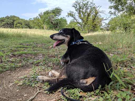 Nature Preserve «Joshua Springs Park and Preserve», reviews and photos, 716 Farm to Market 289, Comfort, TX 78013, USA