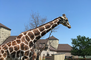 Como Park Zoo & Conservatory