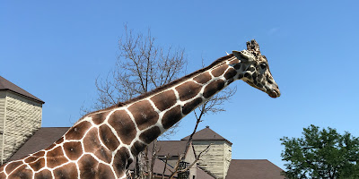 Como Park Zoo & Conservatory