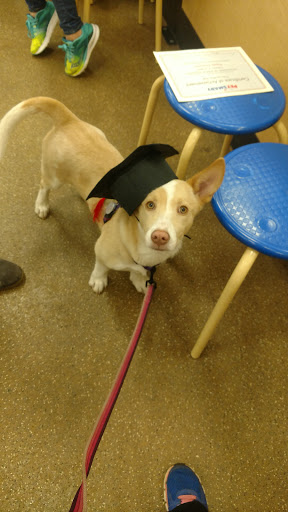 Pet Supply Store «PetSmart», reviews and photos, 4300 E Alameda Ave, Glendale, CO 80246, USA