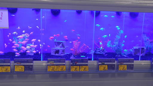 Pet Supply Store «PetSmart», reviews and photos, 2140 17th St, Santa Ana, CA 92705, USA