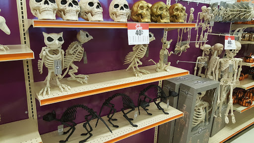 Fabric Store «Jo-Ann Fabrics and Crafts», reviews and photos, 11215 Causeway Blvd, Brandon, FL 33511, USA