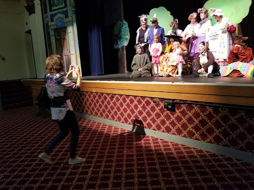 Performing Arts Theater «Cutting Hall Performing Arts Center», reviews and photos, 150 E Wood St, Palatine, IL 60067, USA