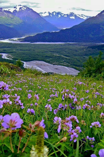 National Park «Kenai Fjords National Park», reviews and photos