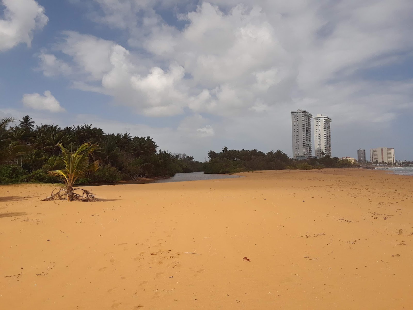 Zdjęcie Playa Migel z poziomem czystości wysoki