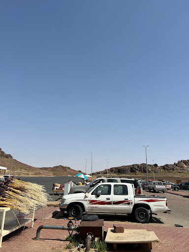 سوق الفقع والزبيدي والجراد في حائل 