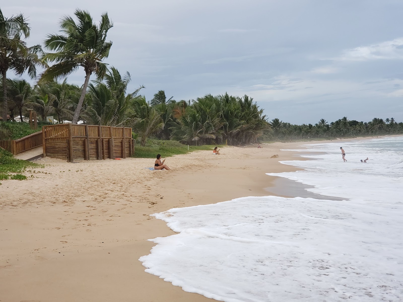 Praia de Jenipabu的照片 带有宽敞的海岸