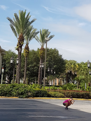 Tourist Attraction «WonderWorks», reviews and photos, 9067 International Dr, Orlando, FL 32819, USA