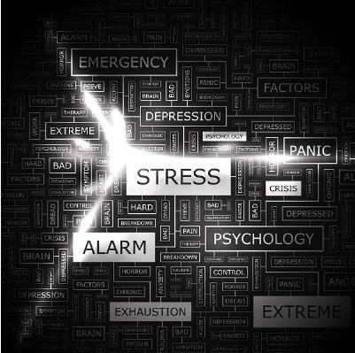 Personal Injury Attorney «Petro Cohen Petro Matarazzo», reviews and photos