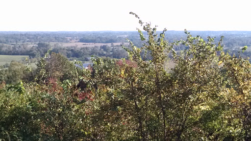 Resort «Park Mammoth Resort», reviews and photos, 22850 Louisville Rd, Park City, KY 42160, USA