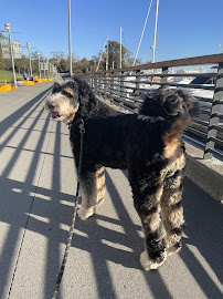 Always & Furever - Photo 4 - Car repair in Oakland, CA, Oakland