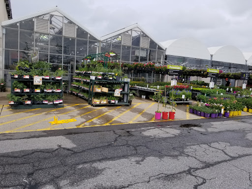 Home Improvement Store «The Home Depot», reviews and photos, 6315 Eastern Ave, Baltimore, MD 21224, USA