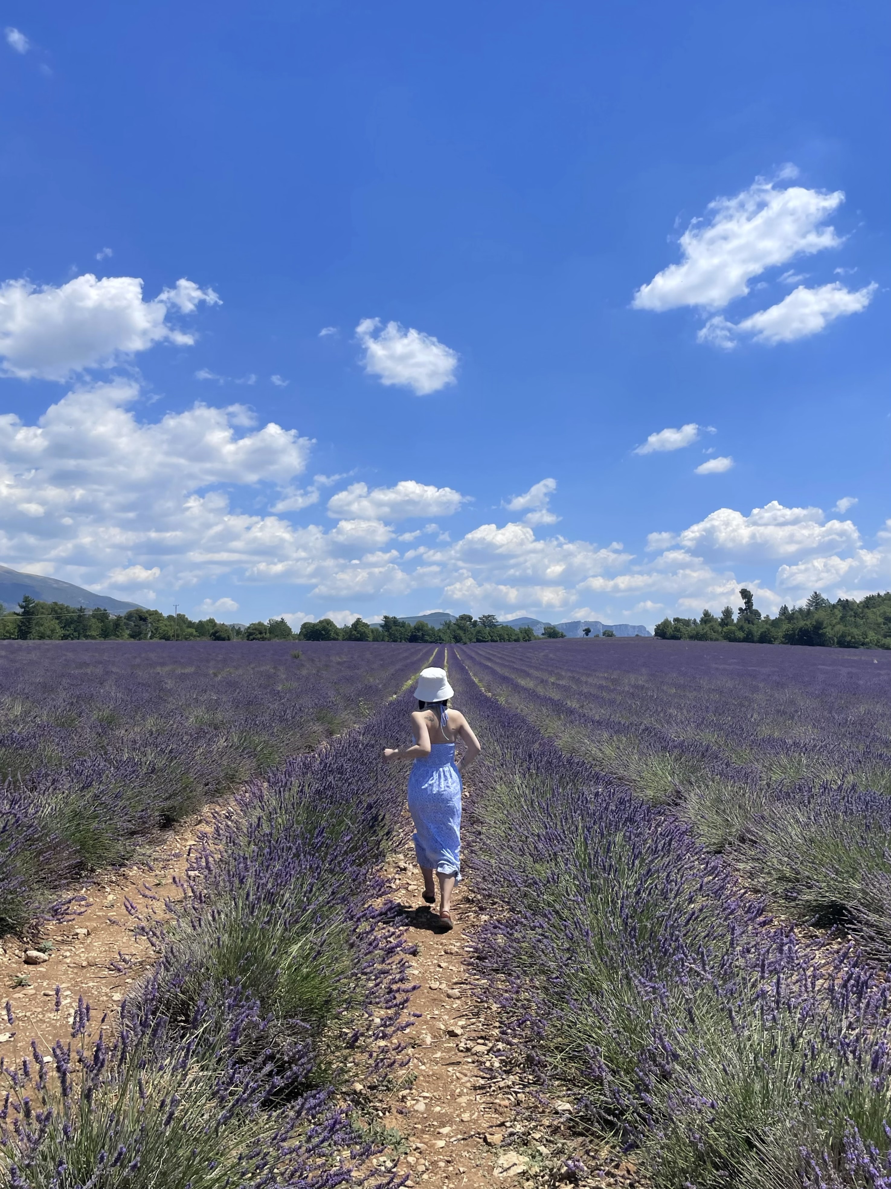 Photo n° 1 de l'avis de mengzhe.h fait le 07/07/2022 à 14:22