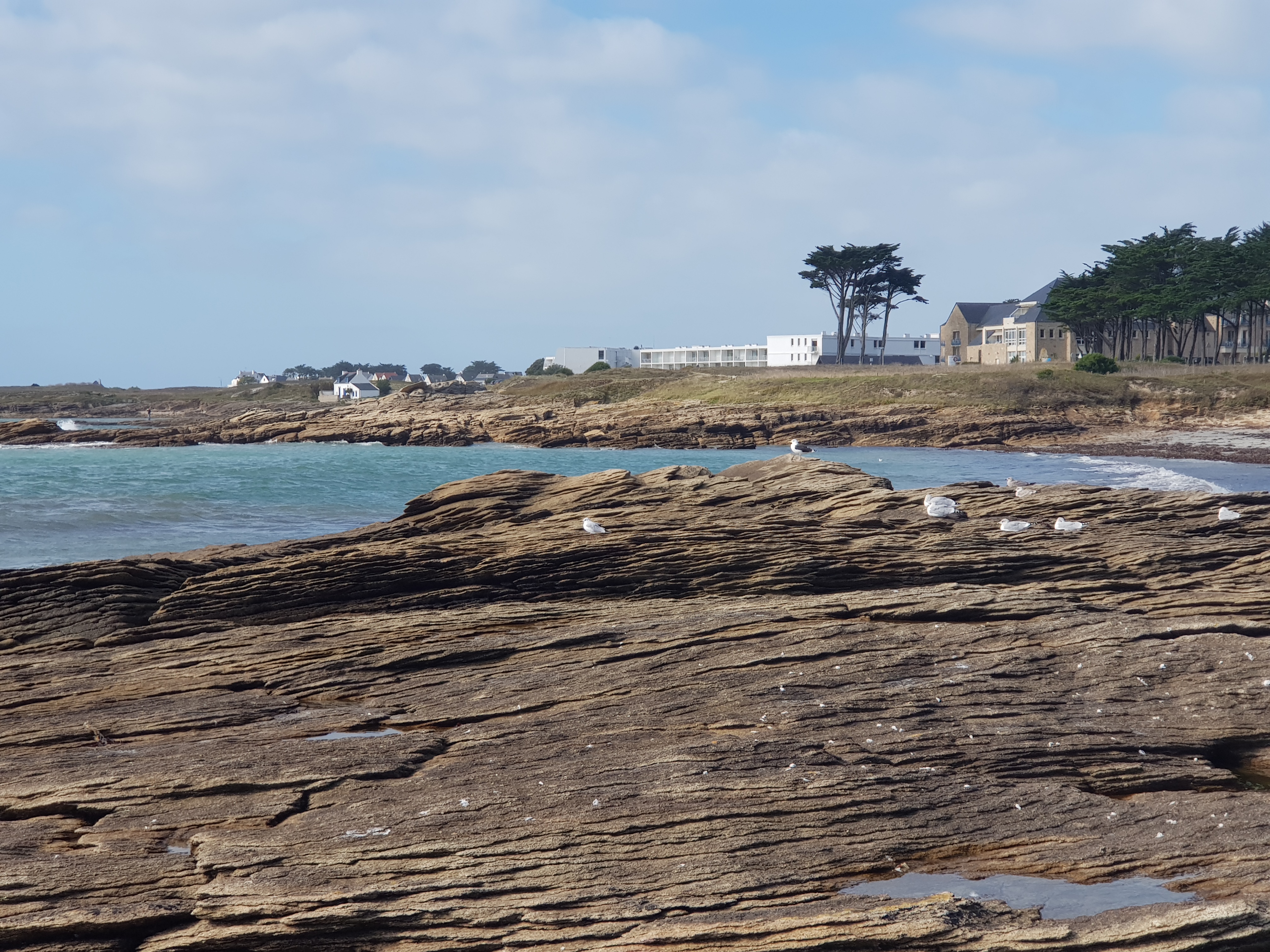 Photo n° 1 de l'avis de Laurent.e fait le 10/10/2019 à 14:15