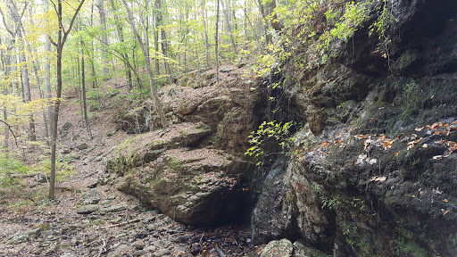 Tourist Attraction «Black Ledge Falls», reviews and photos, Hebron Ave, Glastonbury, CT 06033, USA