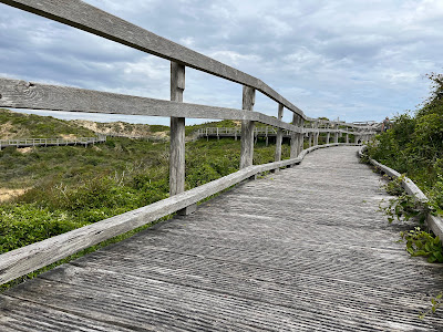 Sentier Découverte De La Dune Parabolique à Merlimont