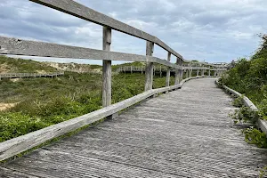 Sentier Découverte De La Dune Parabolique image