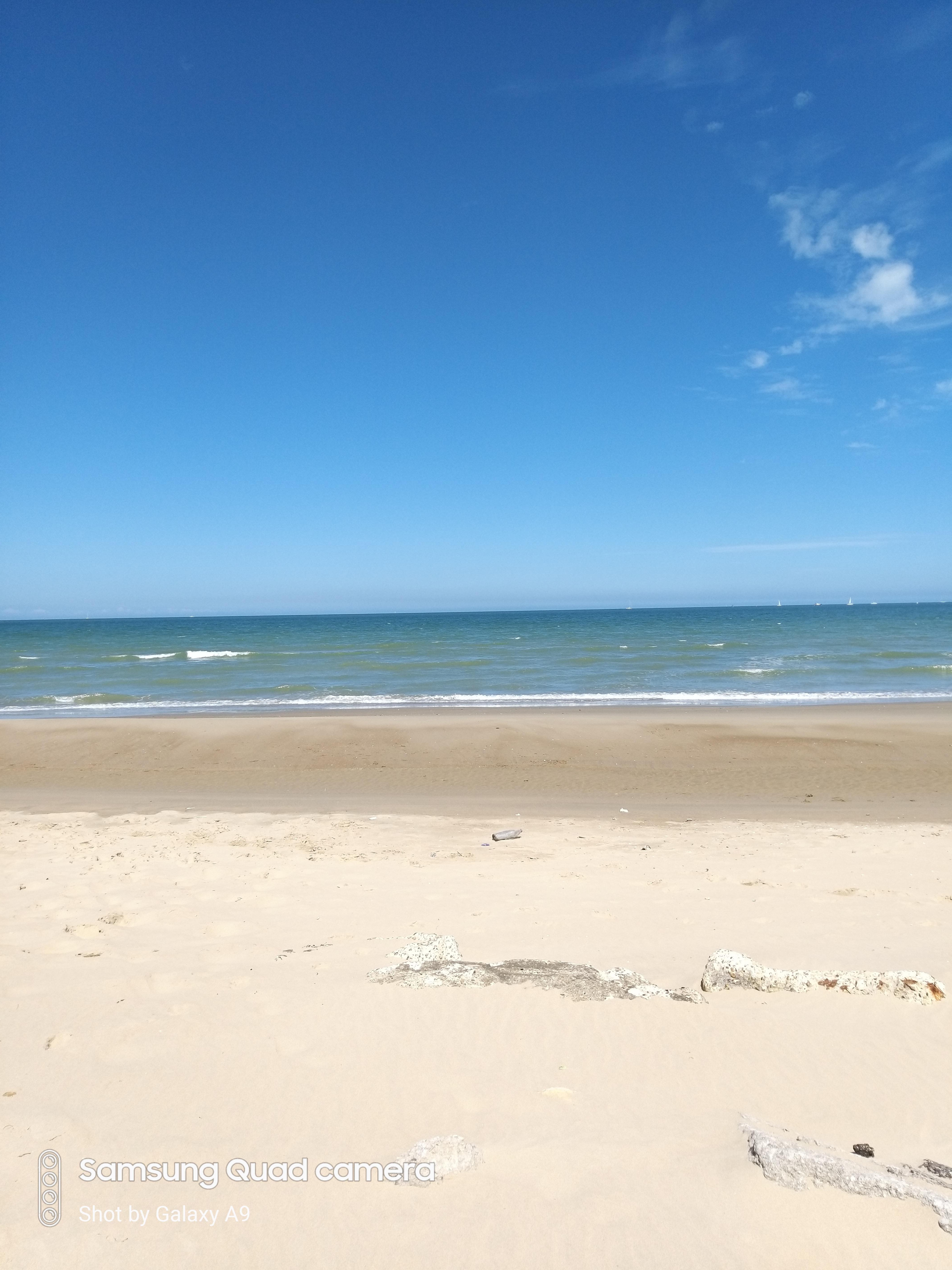 Photo n° 1 de l'avis de William.e fait le 05/09/2019 à 19:21