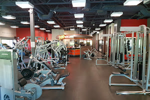 The Gym Eternal