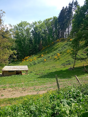 Saint-Maurice-près-Pionsat à Saint-Maurice-prés-Pionsat