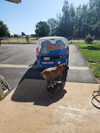 Dads Carpet Care image