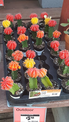 Home Improvement Store «The Home Depot», reviews and photos, 690 Riverpoint Ct, West Sacramento, CA 95605, USA