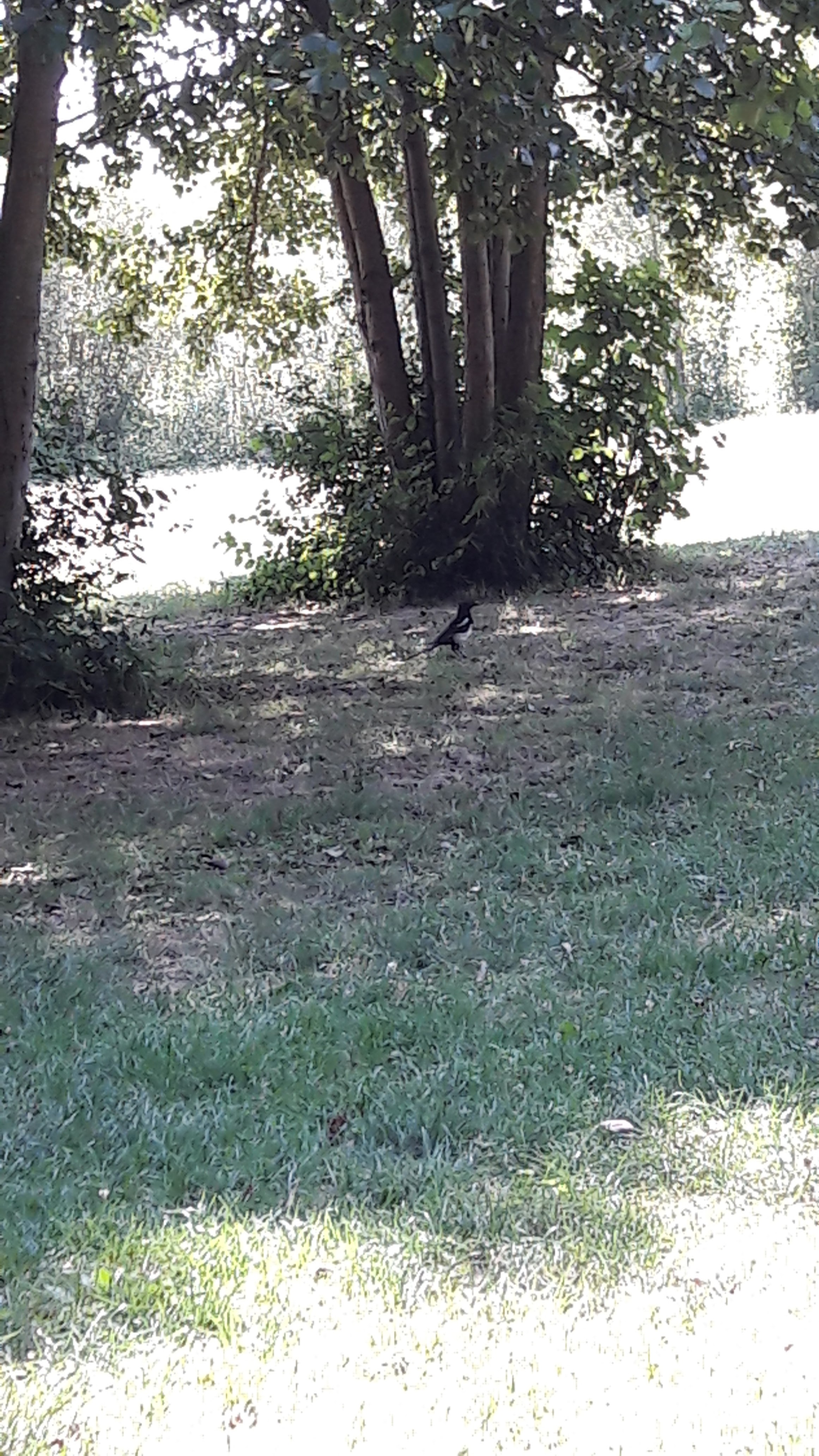 Photo n° 1 de l'avis de Nadine.o fait le 03/08/2018 à 15:20