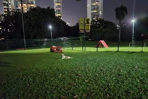 Dogs park at Omar Park image